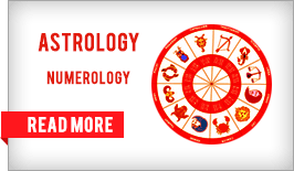 Astrology Numerology Specialist
